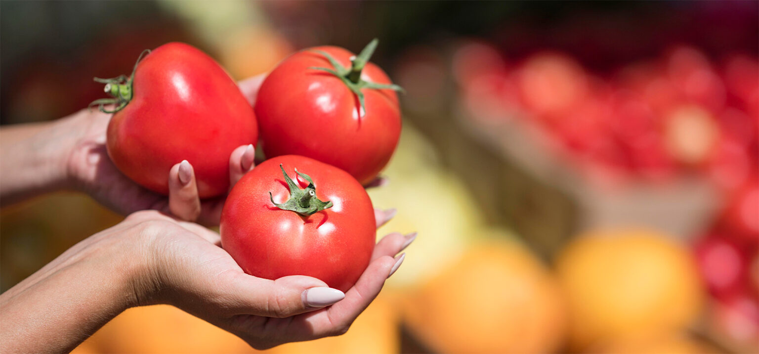 Cesta básica volta a apresentar aumento de preço na capital após oito semanas em queda