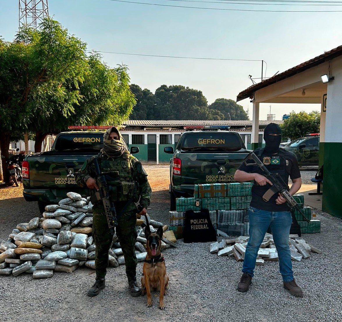 Operação integrada apreende mais de 700 tabletes de droga em caminhão e causa prejuízo de cerca de R$ 7 milhões ao crime