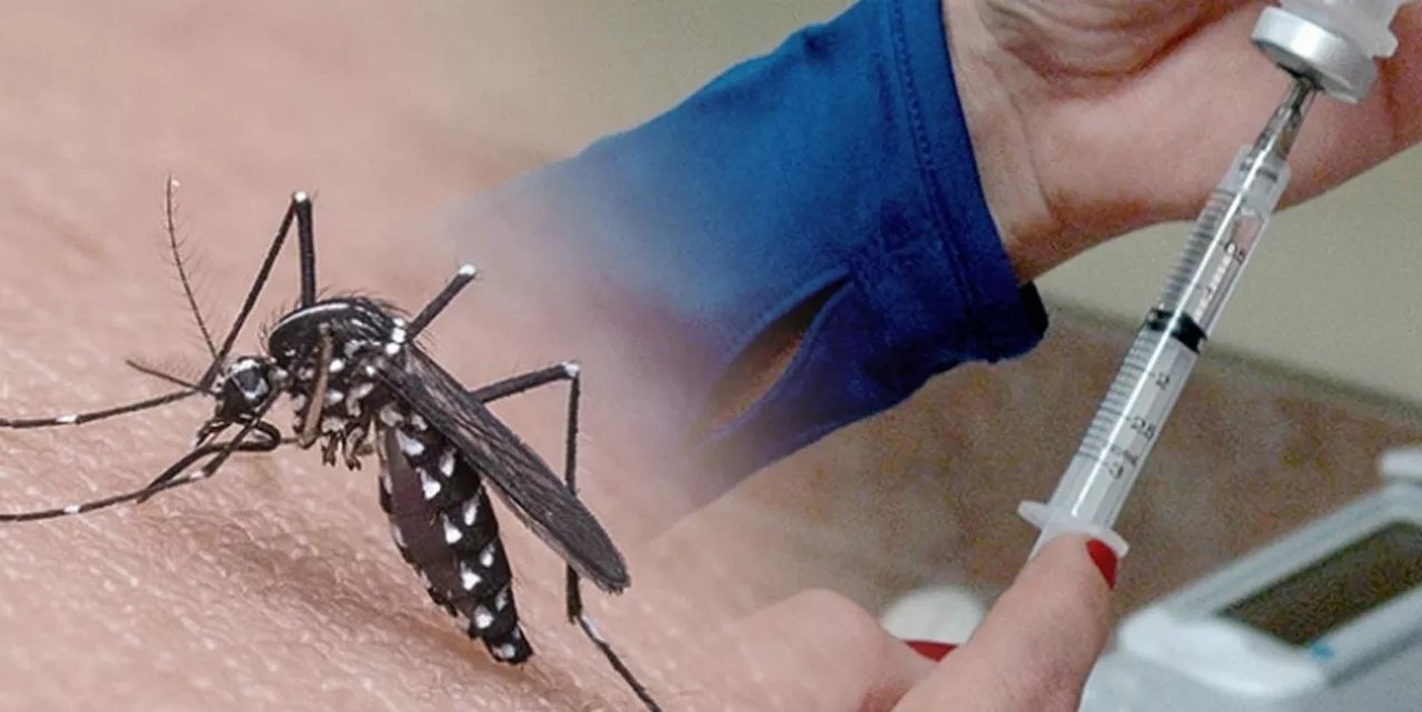 Brasil aprova primeira vacina contra a chikungunya: proteção de 98,9%