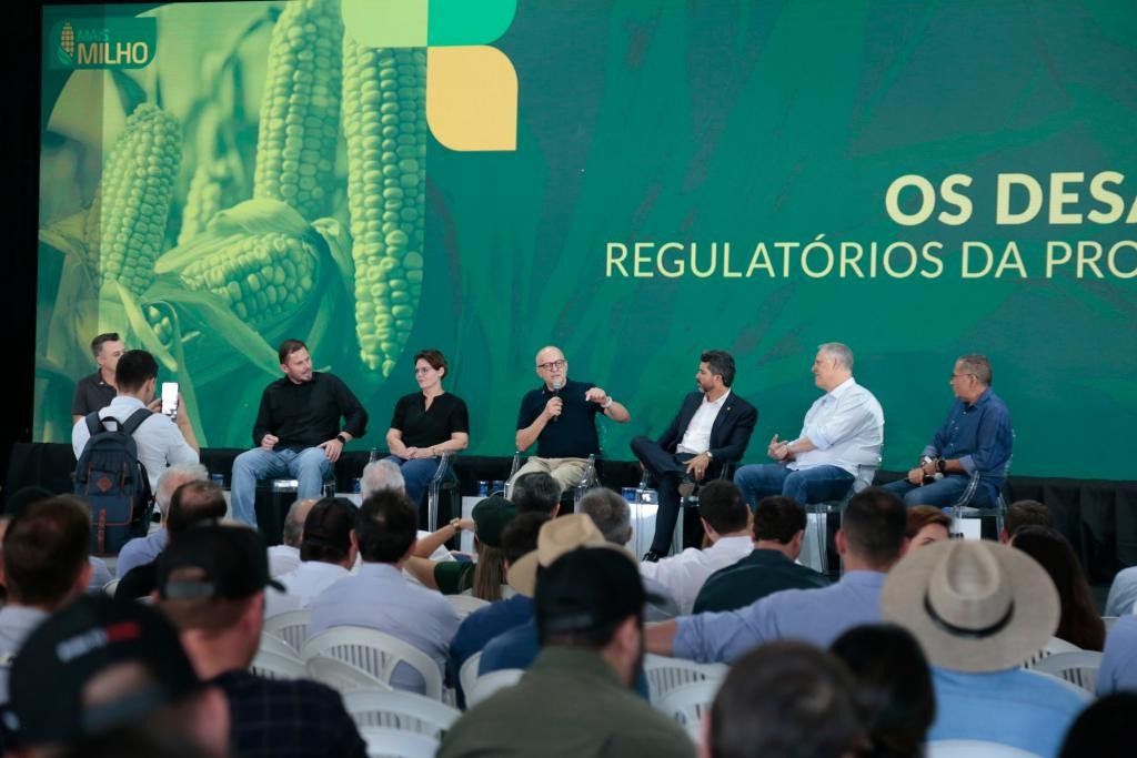 Mato Grosso dá início à colheita da segunda safra nacional de milho