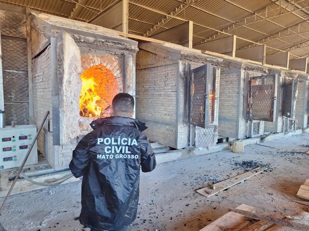 Polícia Civil incinera 150 quilos de drogas apreendidas em Lucas do Rio Verde