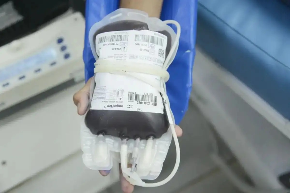 STF consolida direito de recusar transfusão de sangue por motivos religiosos