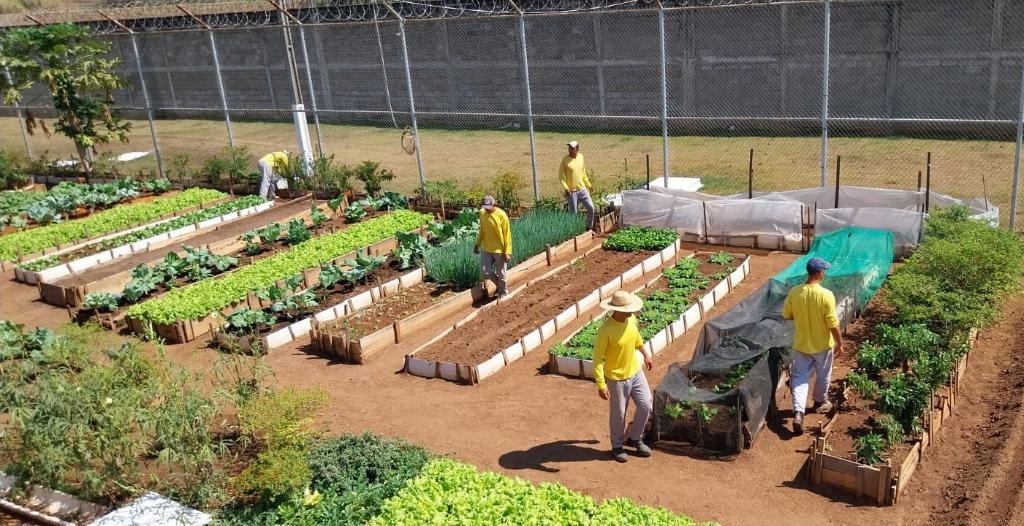 Oficinas em unidades prisionais ofertam trabalho e oportunidades de qualificação a reeducandos em MT