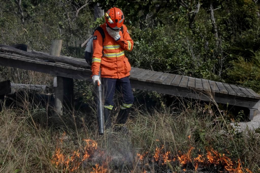 Corpo de Bombeiros combate 15 incêndios florestais neste sábado (30)