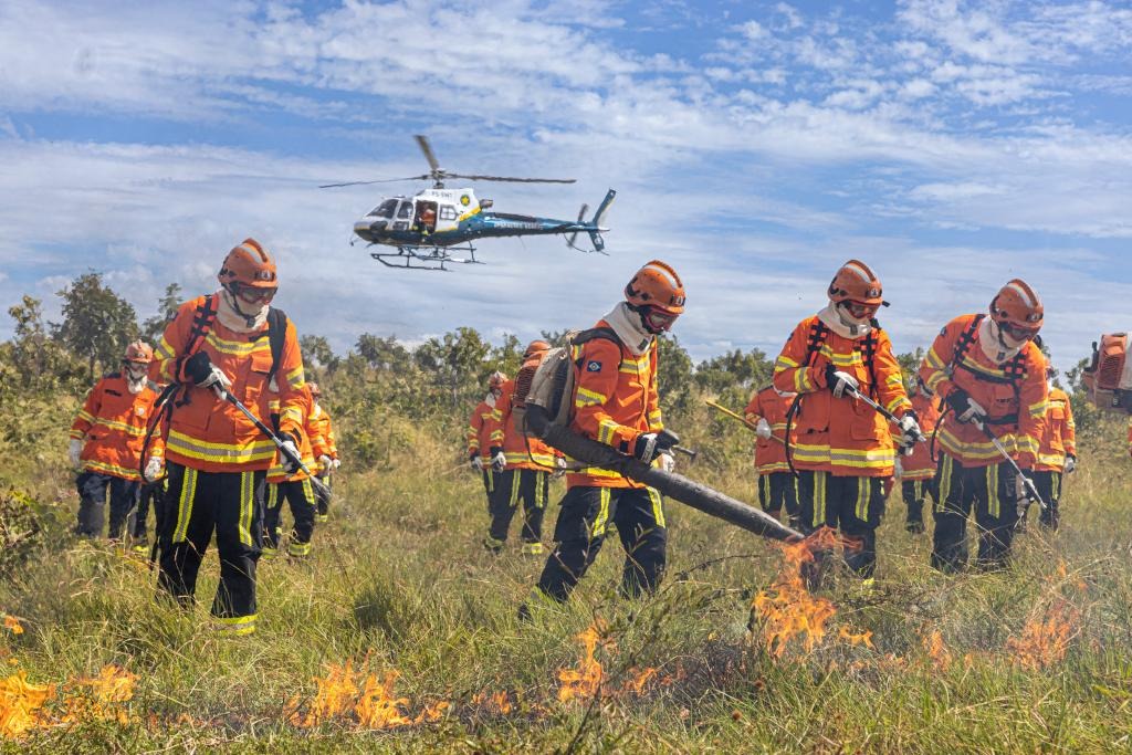 Corpo de Bombeiros combate oito incêndios florestais neste sábado (27)