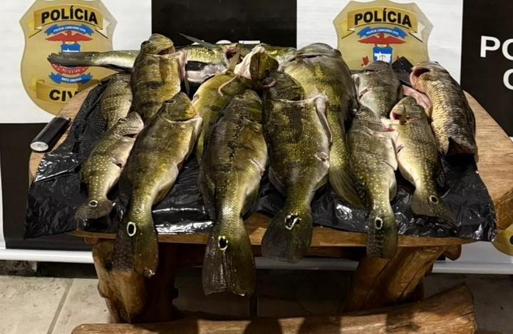 Polícia Civil realiza operação em combate à pesca predatória em Canarana