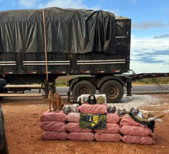 Gefron apreende mais de 400 quilos de skank e causa prejuízo de R$ 1,8 milhão ao crime