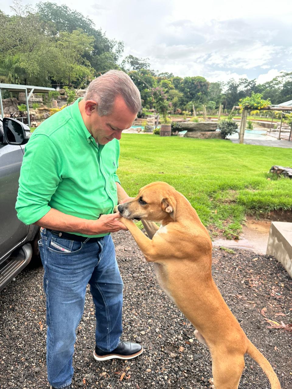 Projeto de Wellington Fagundes ganha força diante do aumento de casos de maus-tratos a animais no país
