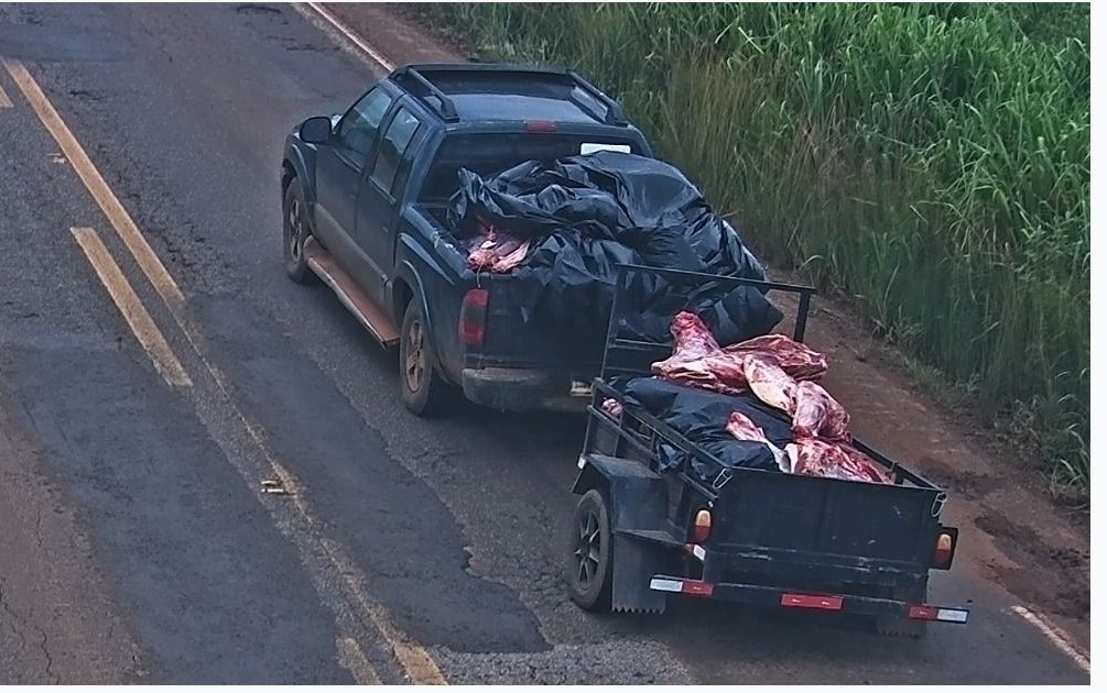 Operação Guerra da Carne identifica 11 suspeitos por saque de carga após tombamento na MT-235