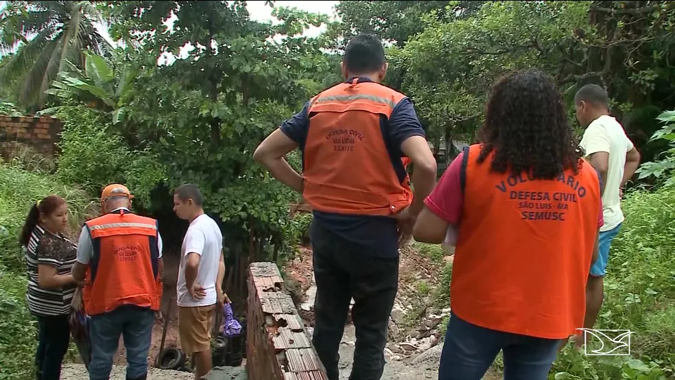Período chuvoso eleva risco de queda de árvores e Defesa Civil orienta população em Mato Grosso