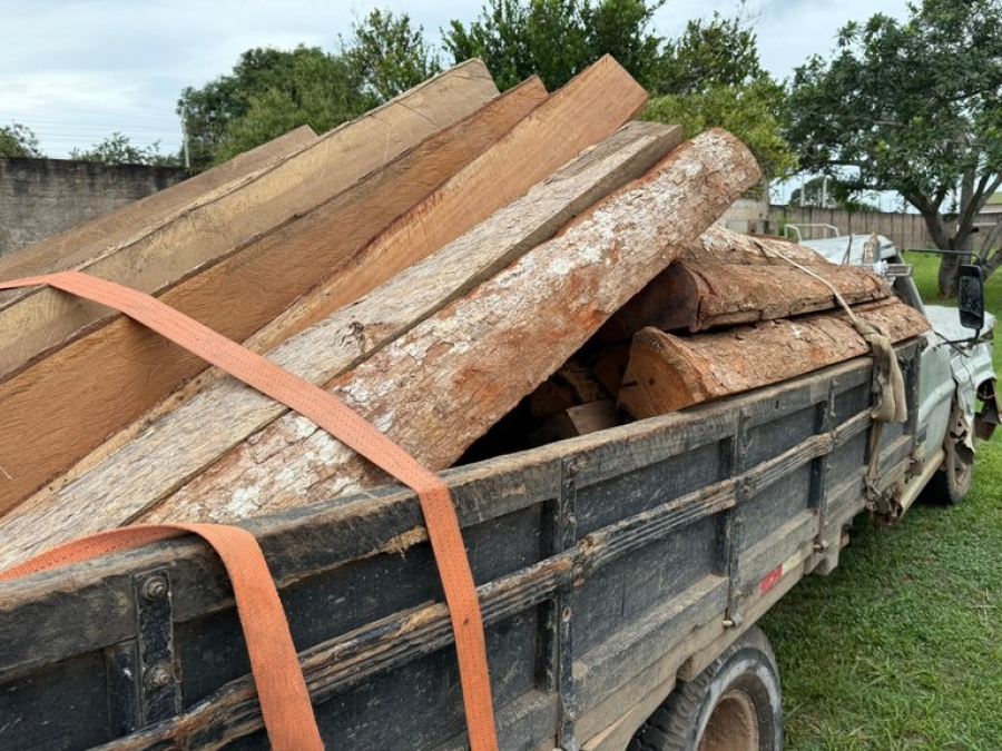 Polícia Civil e Funai desarticulam esquema de desmatamento ilegal em terra indígena em MT