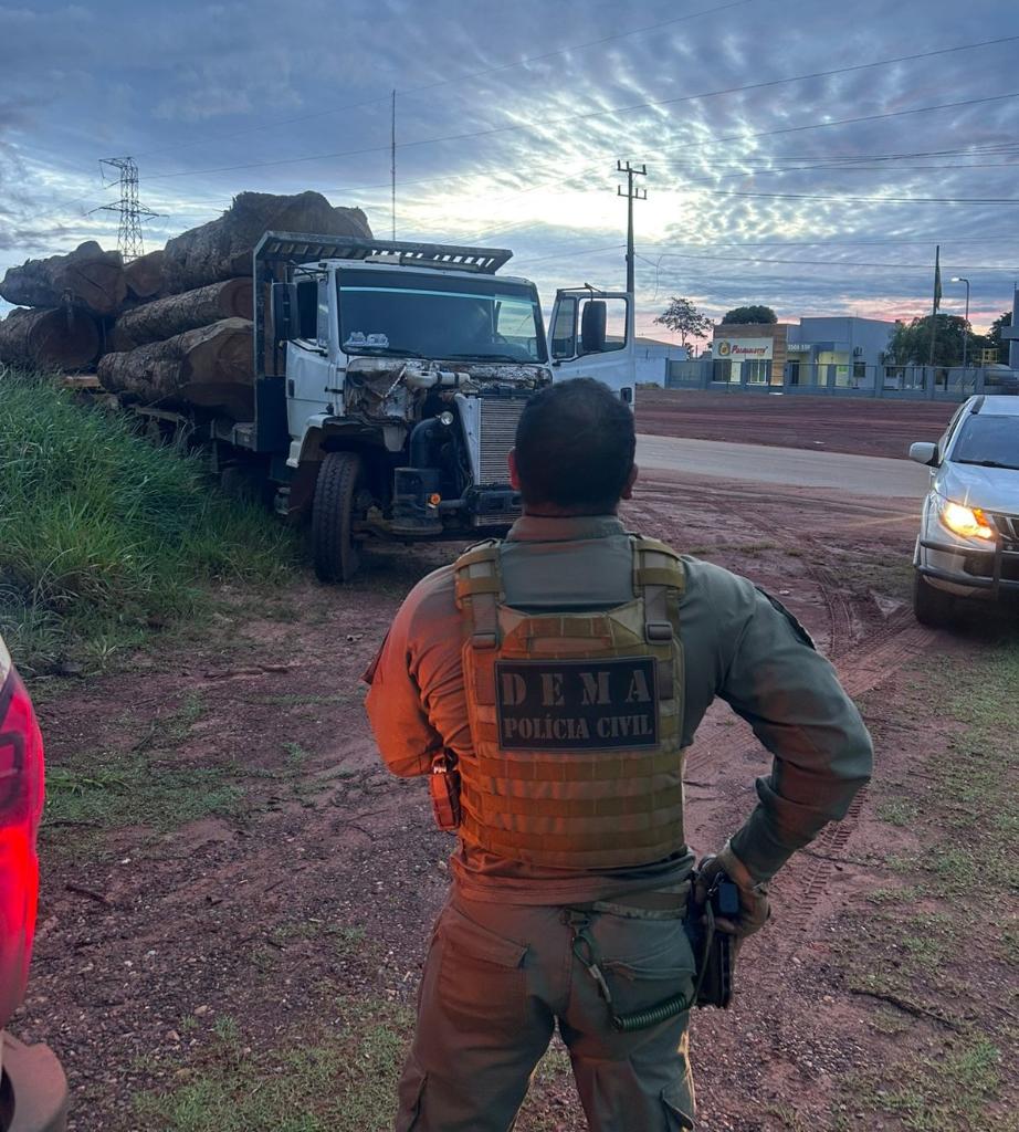 Caminhão com 10 toras gigantes de madeira ilegal é apreendido após fuga de suspeitos em MT