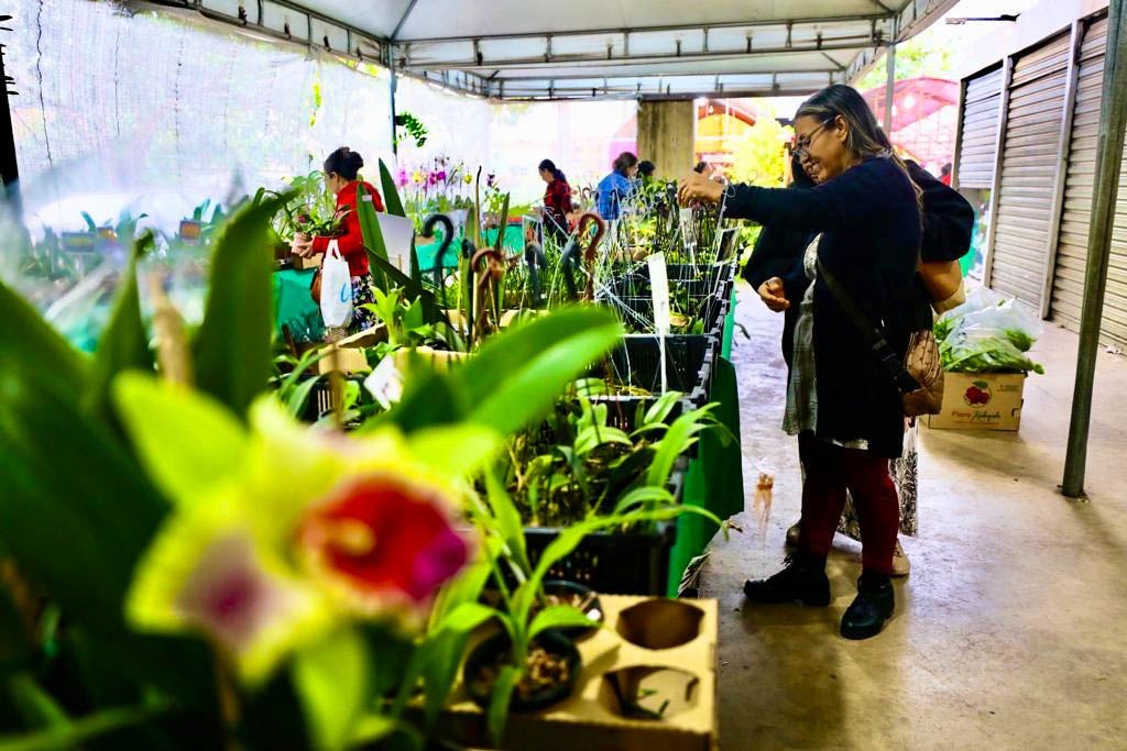 Cuiabá floresce: Festival reúne 60 expositores e projeta mais de R$ 1 milhão em negócios