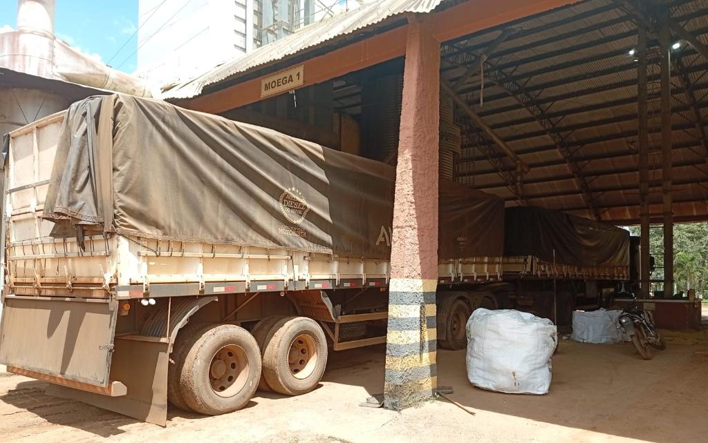 Jovem é preso ao tentar carregar caminhão com soja usando CNH falsa em fazenda de MT