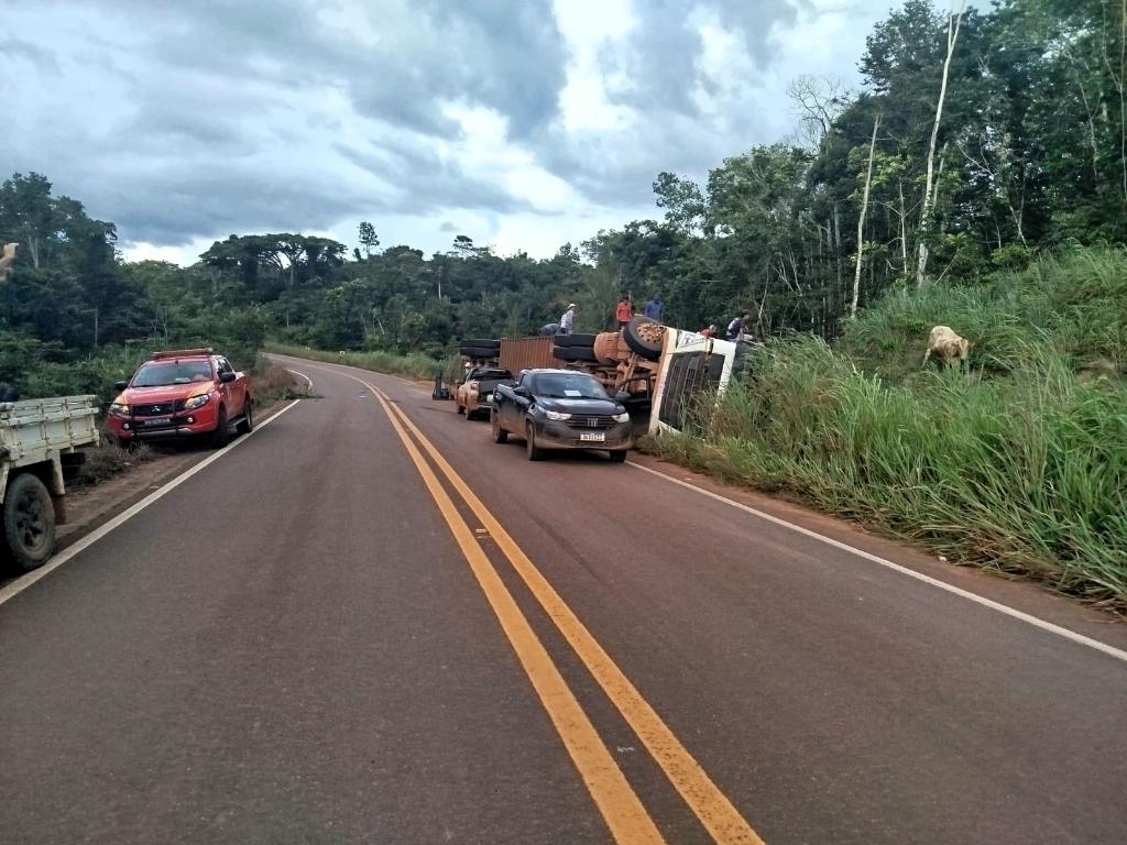Bombeiros resgatam gado preso em carreta tombada e operação dura cinco horas em rodovia de MT