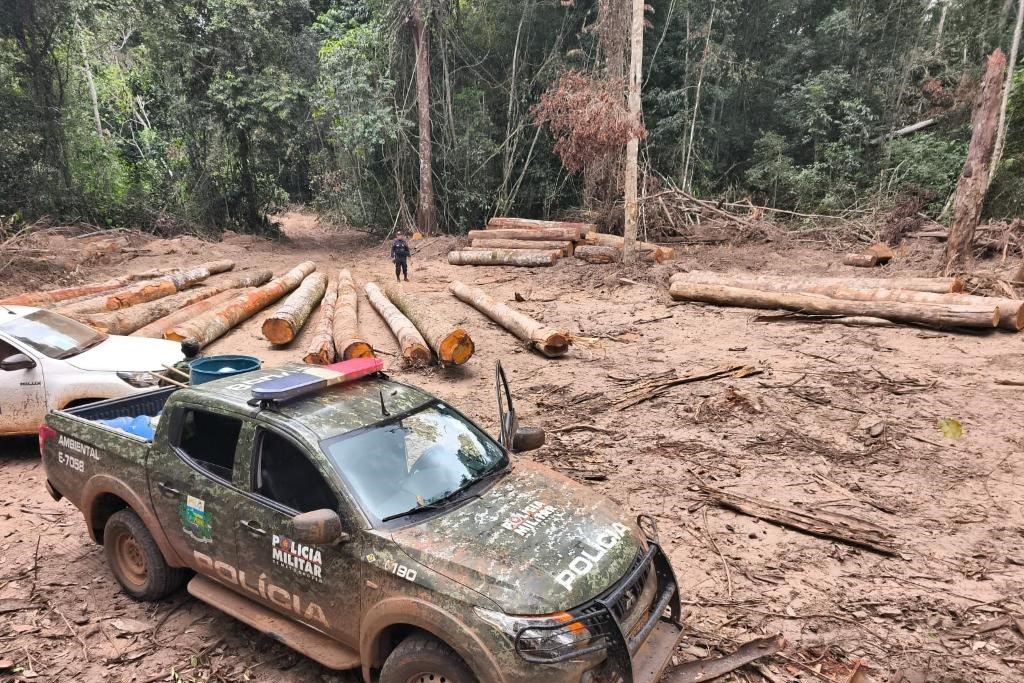 Polícia Ambiental apreende 174 m³ de madeira ilegal durante operação em Marcelândia
