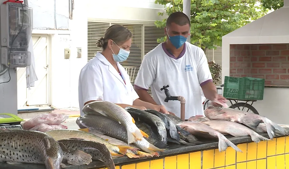Peixe a preço único movimenta Cuiabá: Feira Peixe Santo começa com 13 pontos de venda