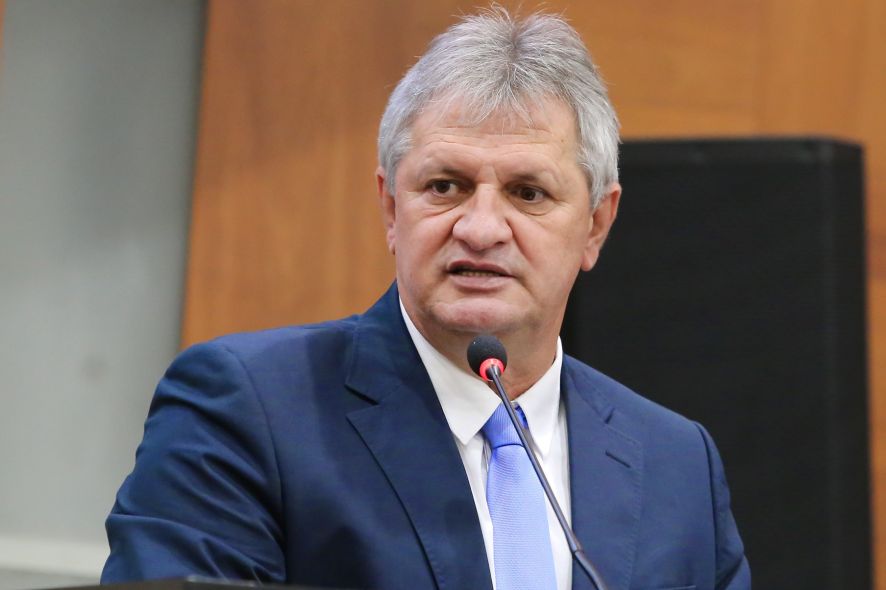 Dilmar D'al Bosco - Deputado