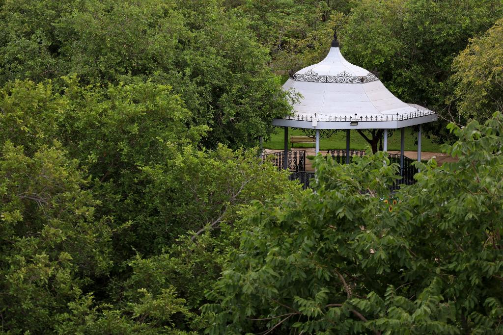 Trilha ecológica no Mãe Bonifácia celebra Dia do Meio Ambiente com imersão na flora mato-grossense