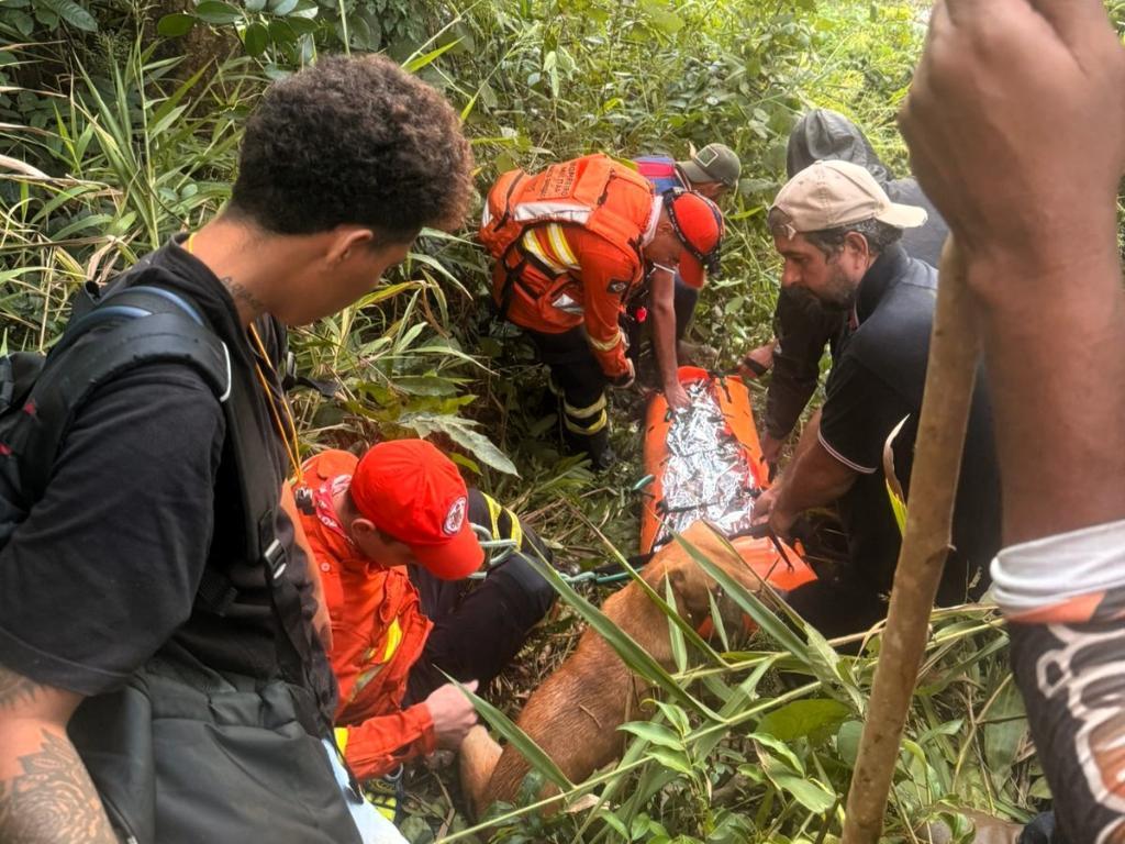 Mulher desaparecida é encontrada com vida após dias na mata em MT