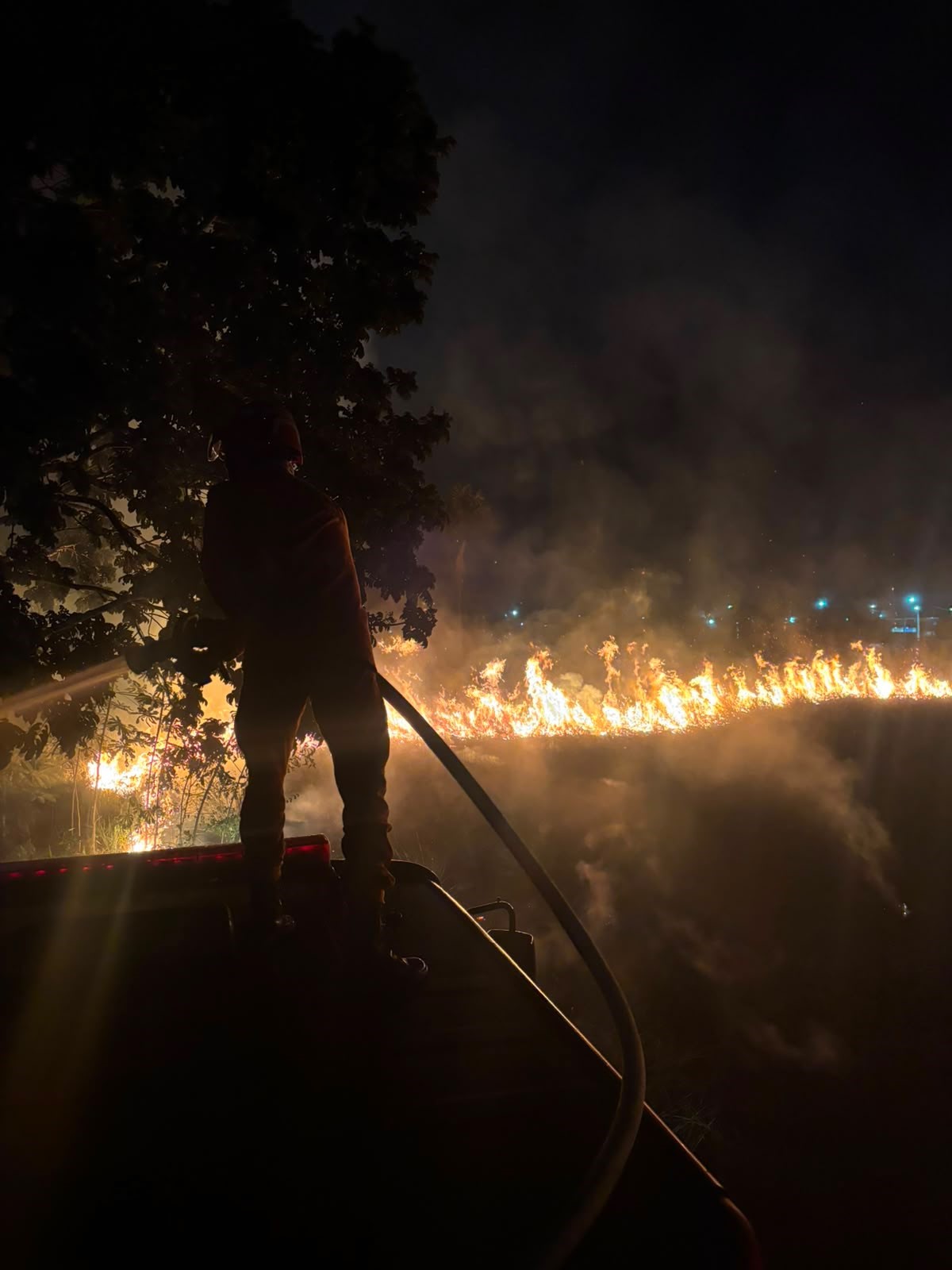 Incêndio ameaça residências em Sinop e bombeiros evitam avanço das chamas sobre área de mata