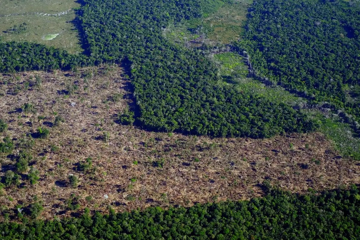 Levantamento aponta que R$ 92,4 bilhões em crédito rural foram destinados a propriedades com alertas ambientais; Mato Grosso aparece entre os estados com maior volume