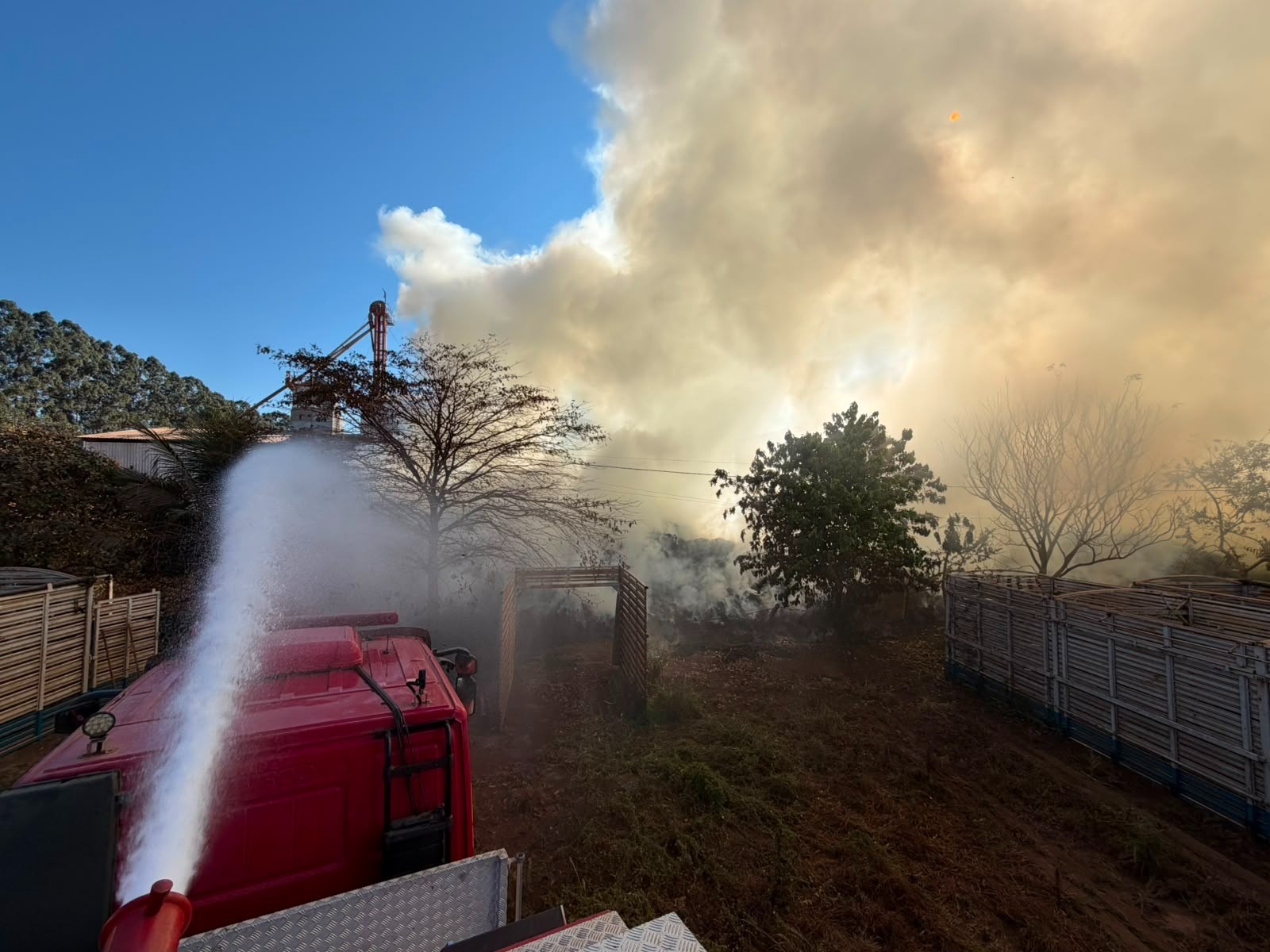 Incêndio de grandes proporções mobiliza bombeiros em empresa na zona rural de Campo Verde