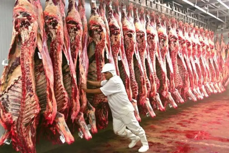 Carne bovina de Mato Grosso conquista mercados e exportações avançam 51% em receita