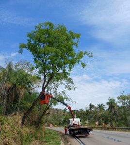 Serra de São Vicente terá alterações no trânsito para serviços de manutenção na BR-364