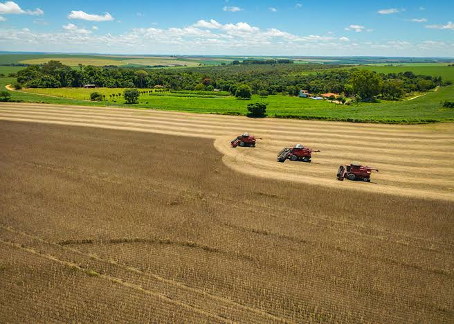 Receita corrige sistema e libera declaração do Imposto Rural para propriedades de qualquer tamanho