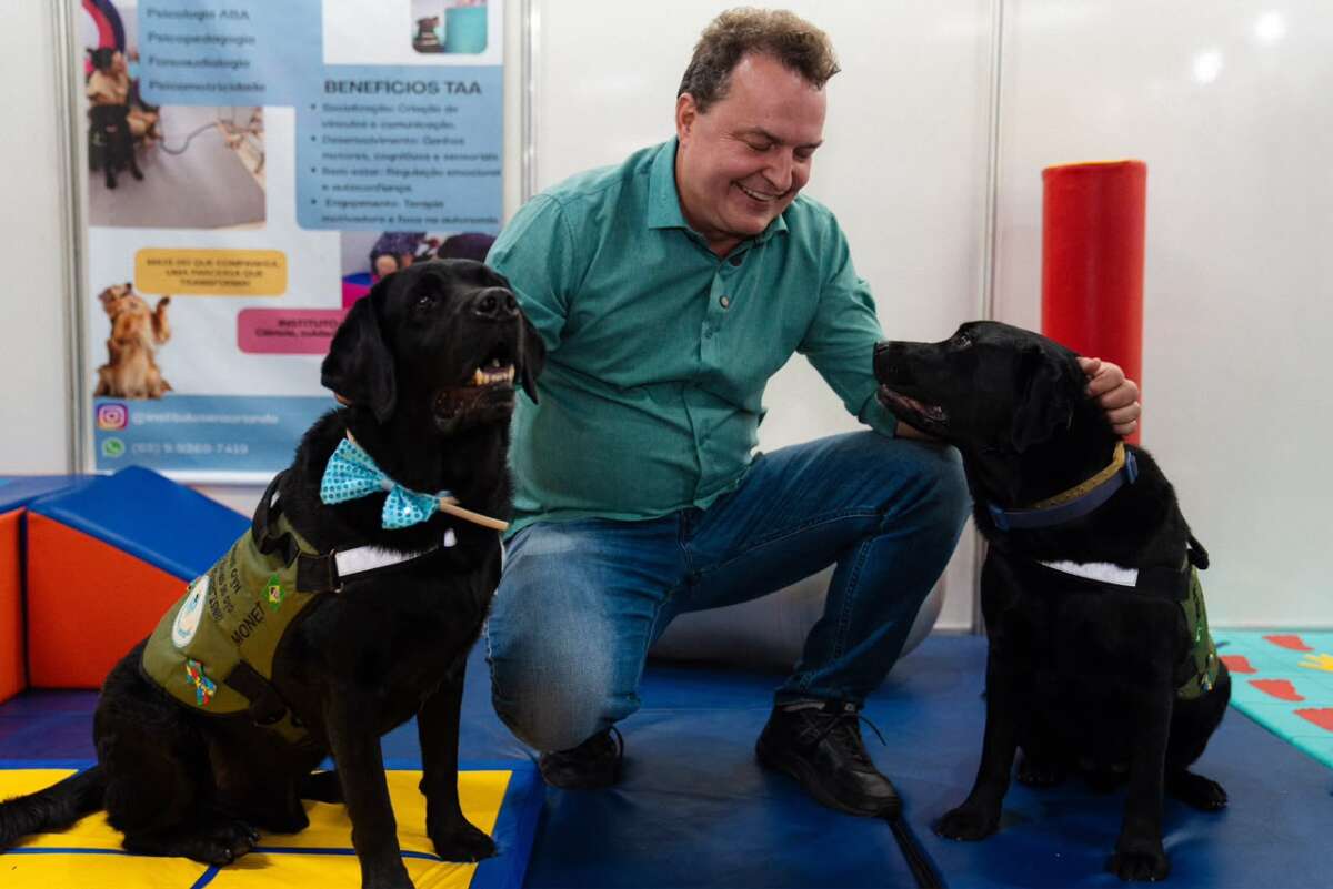 Max propõe criação de censo para mapear população de cães e gatos em MT