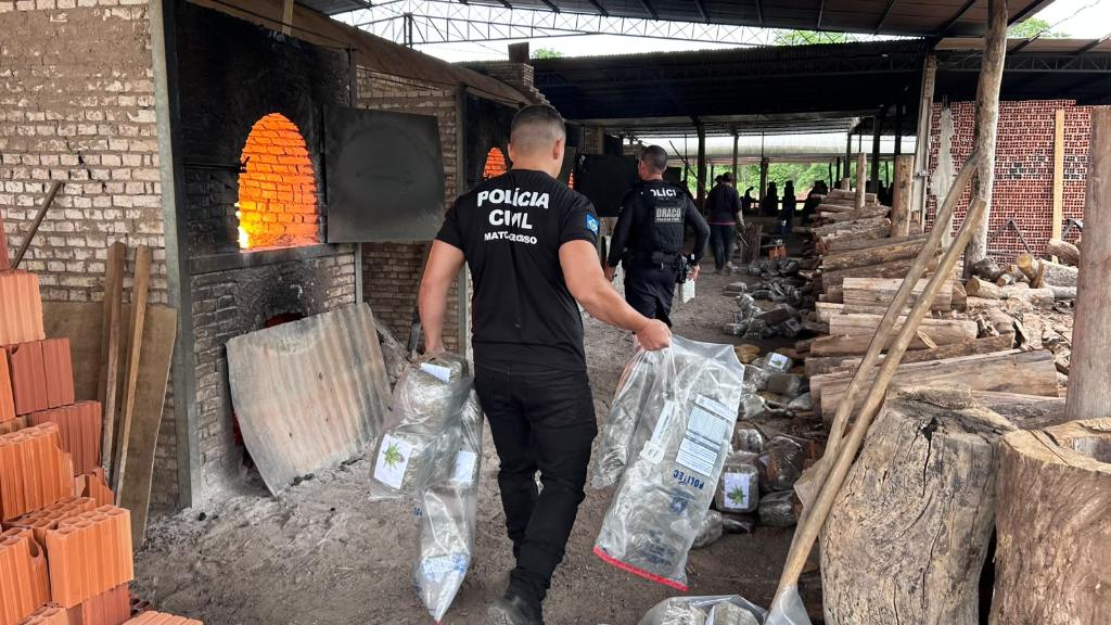 Polícia Civil incinera 4,4 toneladas de drogas em Cáceres em 2026