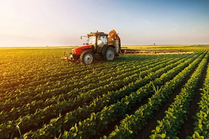 agro mato grosso