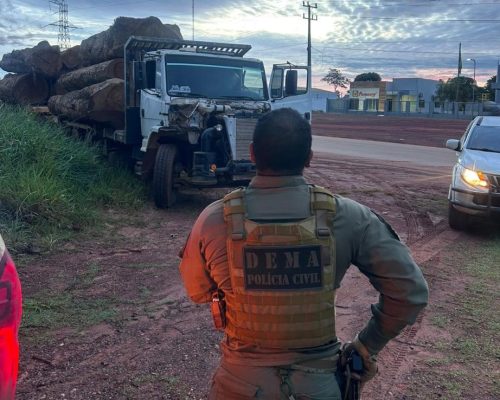 Caminhão com 10 toras gigantes de madeira ilegal é apreendido após fuga de suspeitos em MT