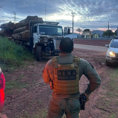 Caminhão com 10 toras gigantes de madeira ilegal é apreendido após fuga de suspeitos em MT