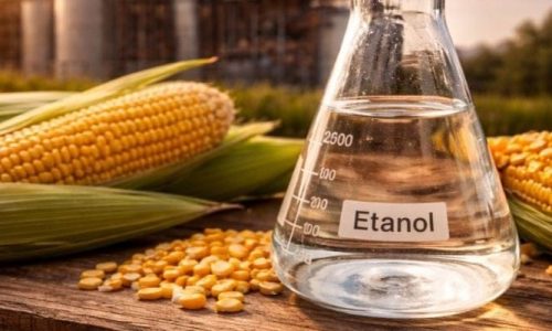 AGRONEGÓCIO BRASILEIRO: ETANOL DE MILHO EM DESTAQUE