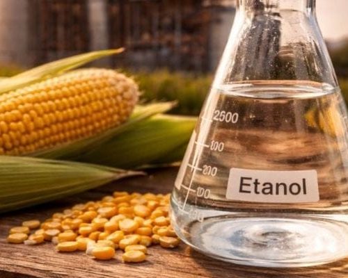 AGRONEGÓCIO BRASILEIRO: ETANOL DE MILHO EM DESTAQUE