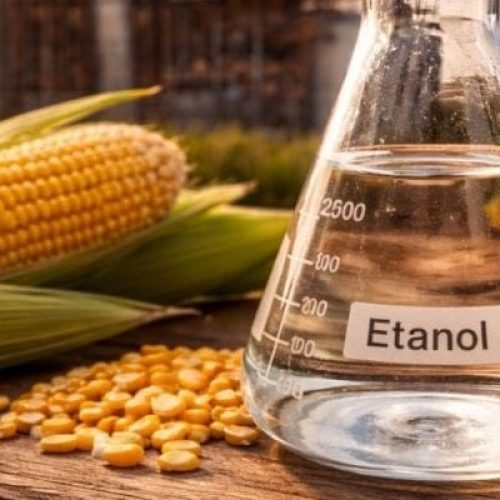 AGRONEGÓCIO BRASILEIRO: ETANOL DE MILHO EM DESTAQUE