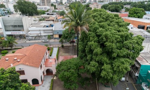 Poda emergencial interdita trecho da Rua Cândido Mariano nesta quinta-feira em Cuiabá