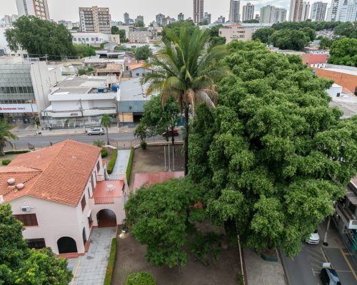 Poda emergencial interdita trecho da Rua Cândido Mariano nesta quinta-feira em Cuiabá