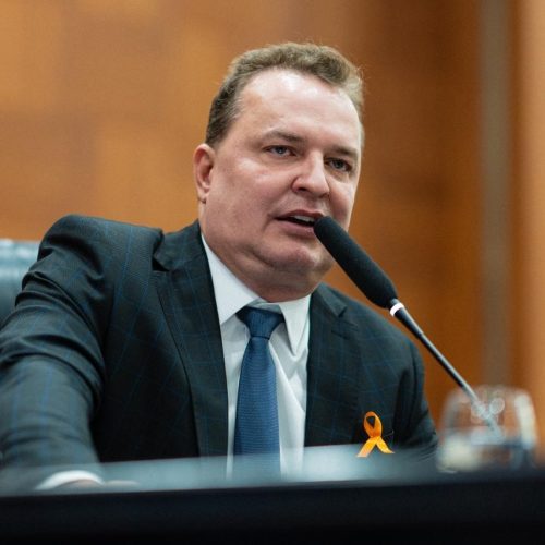 Mato Grosso além do Agronegócio