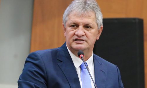 Dilmar D'al Bosco - Deputado