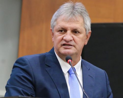 Dilmar D'al Bosco - Deputado