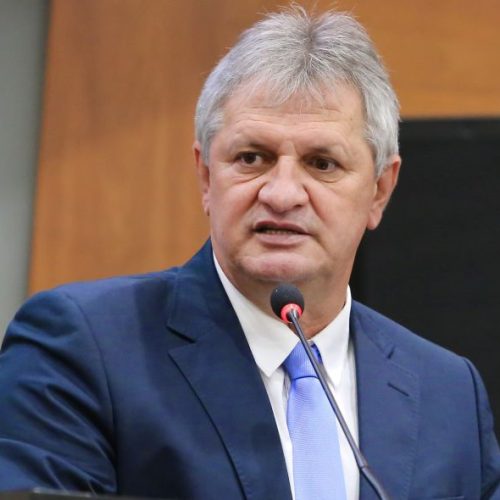 Dilmar D'al Bosco - Deputado