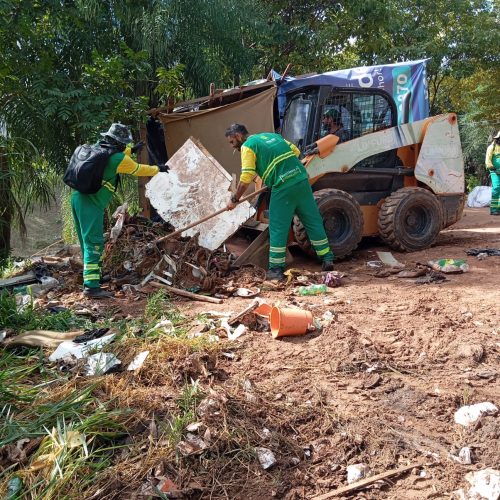 Força-tarefa remove 10 toneladas de lixo na região do CPA