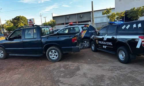 Adolescente de 14 anos é apreendido após furtar caminhonete e esconder veículo em mata no interior de MT