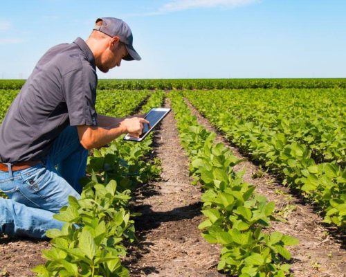 Governo federal prorroga prazos para produtores rurais renegociarem dívidas