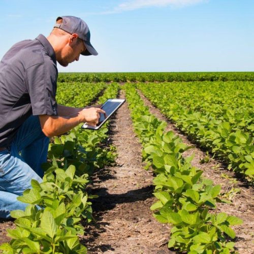 Governo federal prorroga prazos para produtores rurais renegociarem dívidas