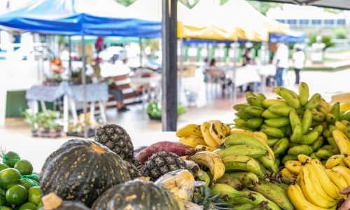 Feira reúne mais de 60 expositores e movimenta a Praça Alencastro nesta terça-feira
