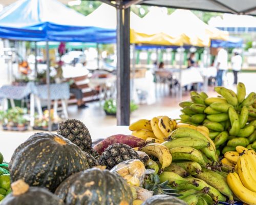 Feira reúne mais de 60 expositores e movimenta a Praça Alencastro nesta terça-feira